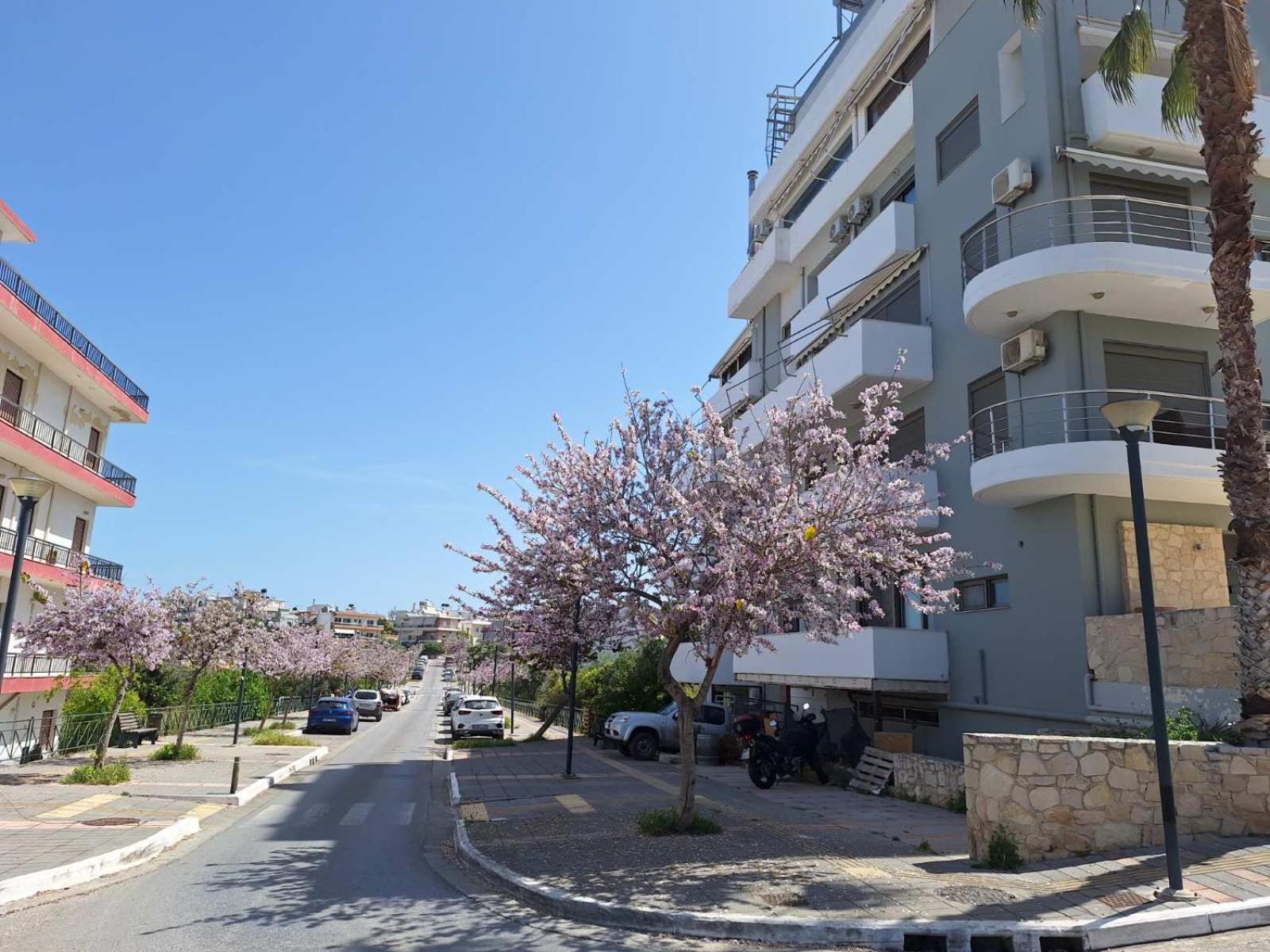 Appartement Iriana's In Center